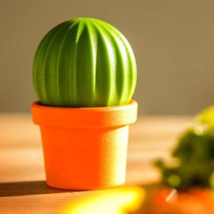 نمکپاش جفتی کاکتوس پلاستیکی