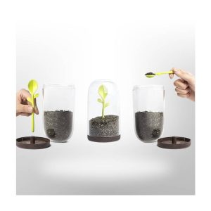 ظرف چای و قهوه مدل برگ