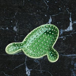 ظرف سرو مایاهوم کاکتوس تپل