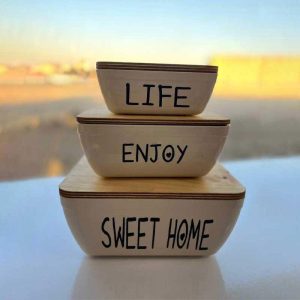 ظرف هوفیلوس 3 عددی