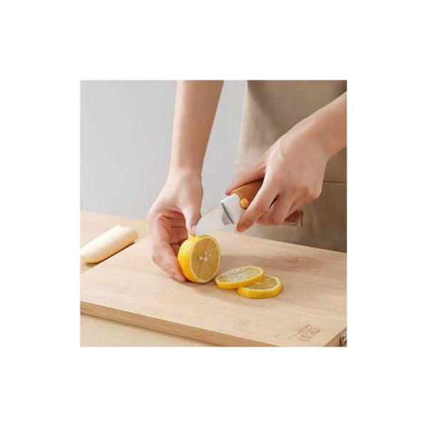 قیمت چاقو پوستکن دار SY-165