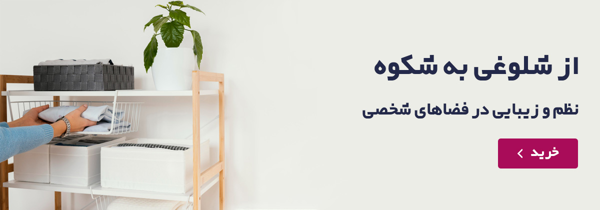ارگانایزر