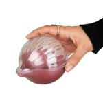 خرید ظرف پیاز