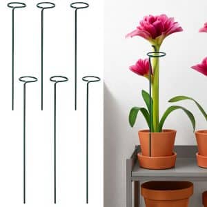 خرید پایه نگهدارنده گل 6 عددی