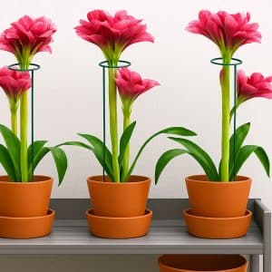 پایه نگهدارنده گل 6 عددی