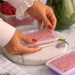 قیمت ظرف گوشت کف سیلیکونی کوچک